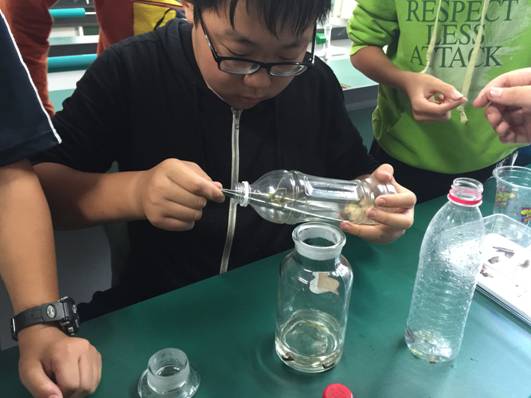 生物组学科活动——“昆虫标本展”